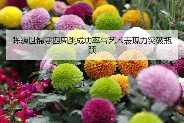 chen-wei-shi-jin-sai-si-zhou-tiao-cheng-gong-lv-yu-yi-shu-biao-xian-li-tu-po-ping-jing-2-826.jpg