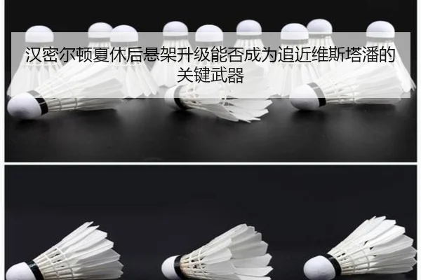 汉密尔顿夏休后悬架升级能否成为追近维斯塔潘的关键武器