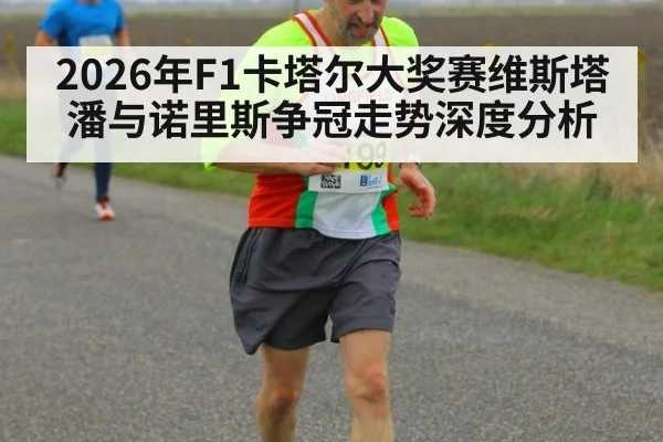 2026年F1卡塔尔大奖赛维斯塔潘与诺里斯争冠走势深度分析